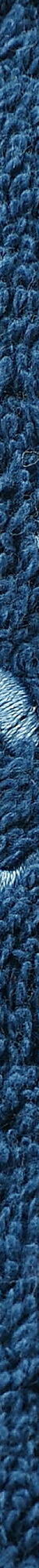 Collection serviettes de bain 540 g/m2 personnalisables confort moelleux (bleu paon) Collection serviettes de bain 540 g/m2 personnalisables confort moelleux (bleu paon)